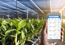 淄博软件开发_智慧农业物联网APP系统开发为用户带来什么优势